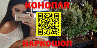 СК Краснокаменск