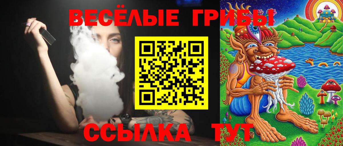 Маркс  Псилоцибиновые грибы Psilocybe  Псилоцибиновые грибы прущие грибы  Вход с VPN 